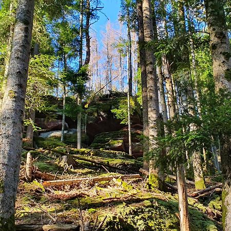 Villa La Gambas Des Bois Saint-Quirin Esterno foto